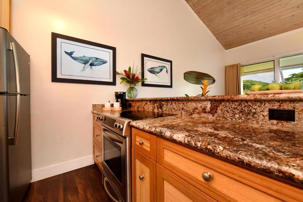 Casa vacanze Napili Shores F246 Kahana