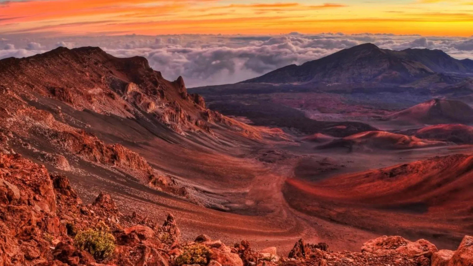 Napili Shores F246 Kahana 0*,  Stati Uniti